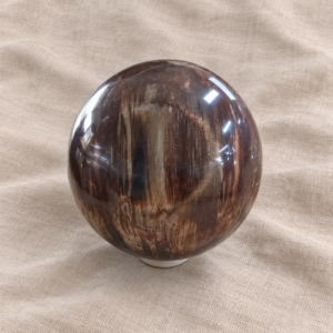 Versteend hout bol